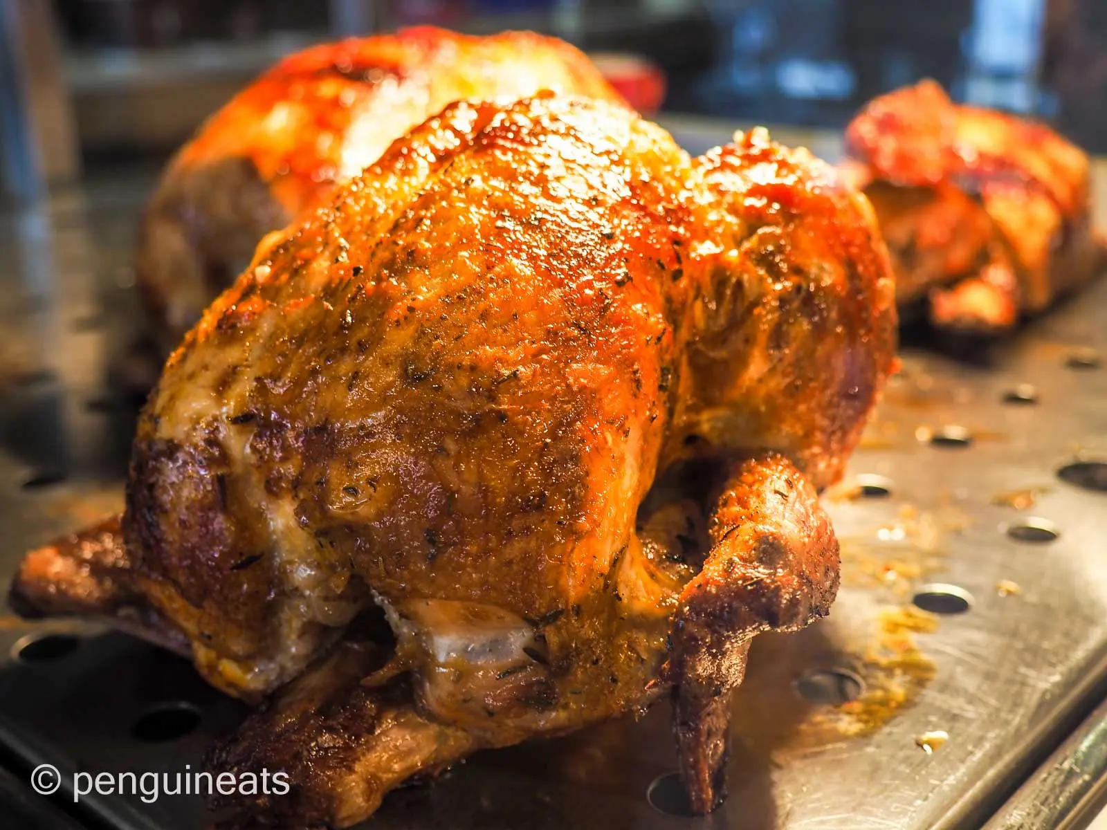 Chicken on Lygon — photo 7
