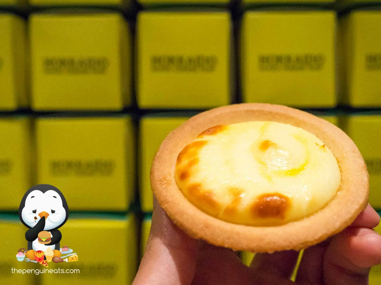 Hokkaido Baked Cheese Tart (CBD) — photo 5