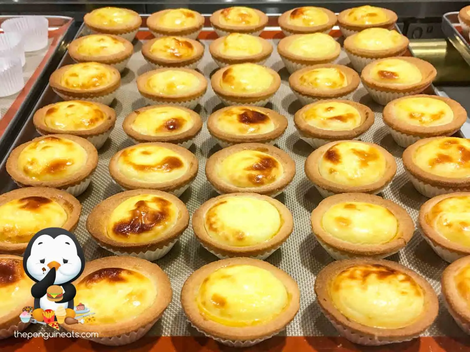 Hokkaido Baked Cheese Tart (CBD) — photo 4
