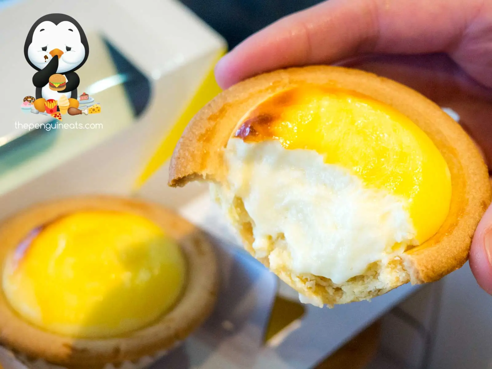 Hokkaido Baked Cheese Tart (Box Hill) — photo 3