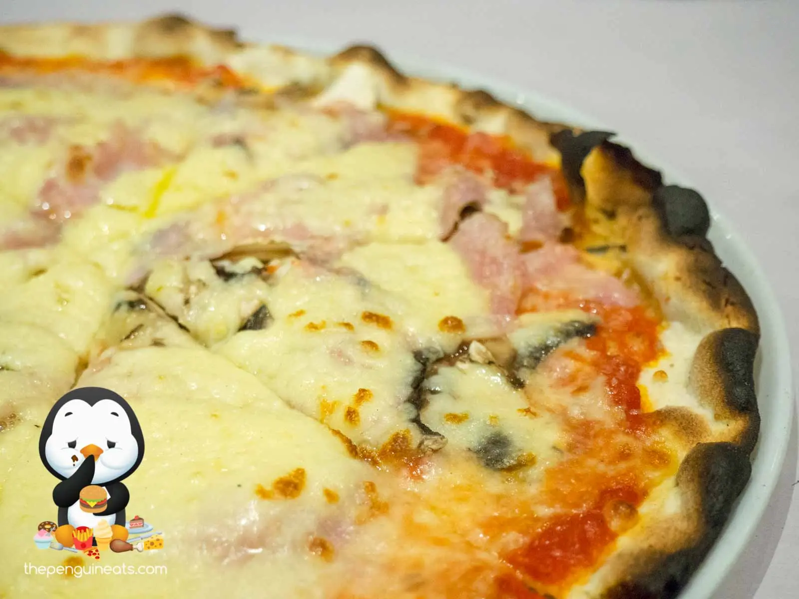 Pizzaly — photo 3